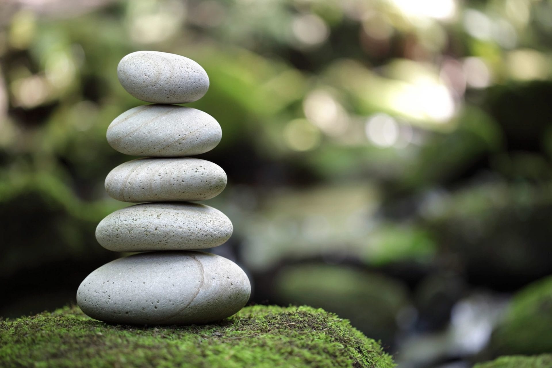 A stack of rocks sitting on top of a green bush.