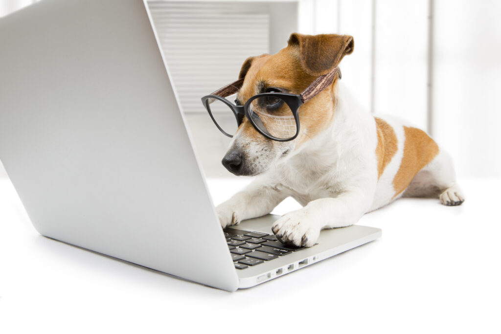 A dog with glasses is sitting on the keyboard of a laptop.